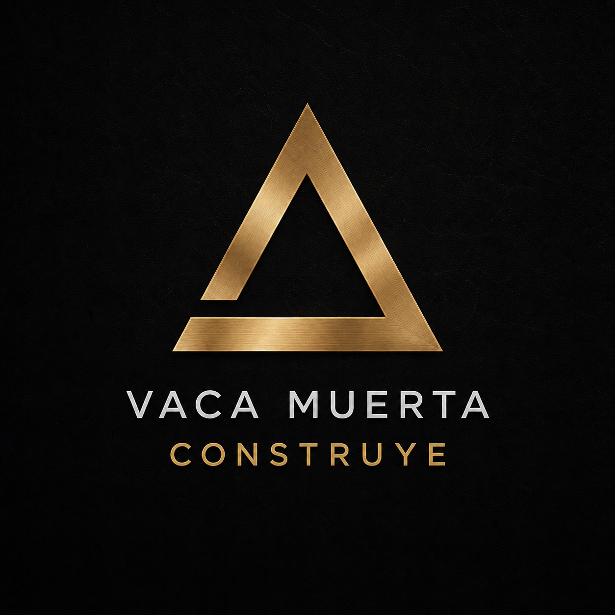 VACA MUERTA CONSTRUYE